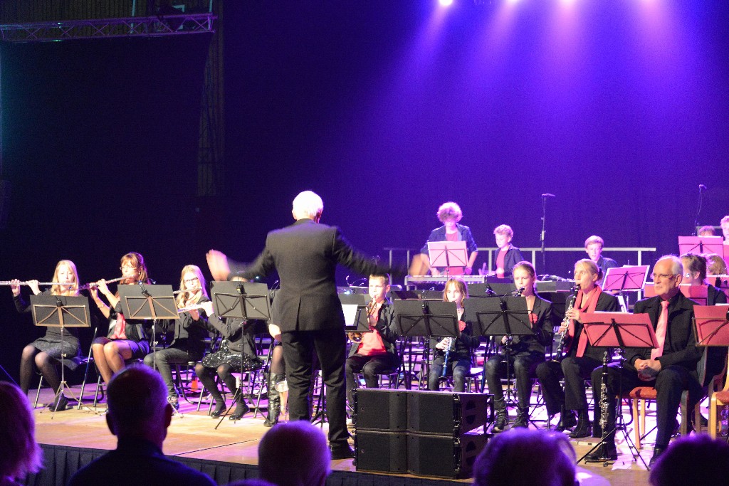 ../Images/Jubileumconcert 100 jaar Harpe Davids 136.jpg